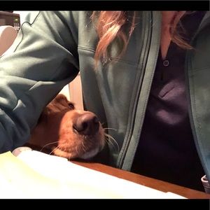 Meet your Posher, Alex